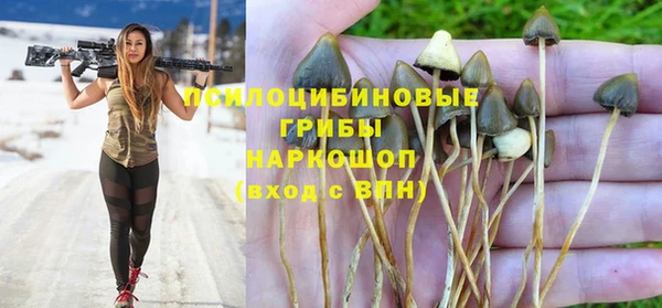 mix Алексин