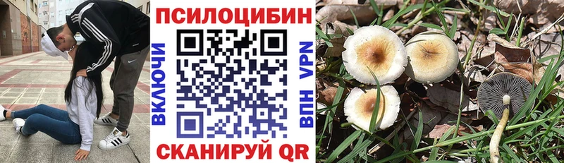 Галлюциногенные грибы GOLDEN TEACHER  Баймак 